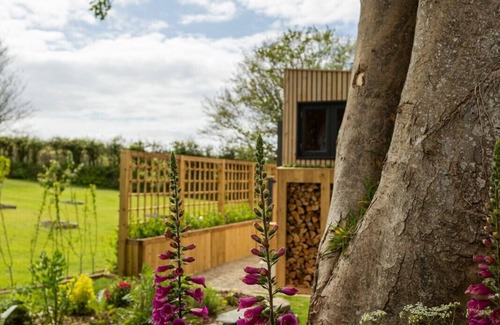 Moylegrove Cabin | Bespoke tranquility just for two (and a furry friend.)