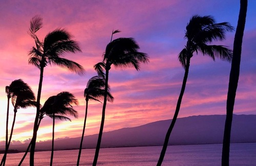 Maalaea Condo | Best Oceanfront Condo, LAULOA, Remodeled, WiFi, Curved UHD-TV