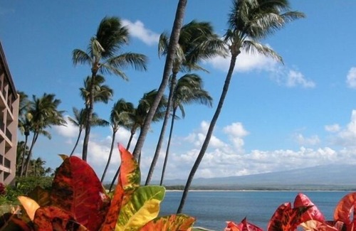 Maalaea Condo | Best Oceanfront Condo, LAULOA, Remodeled, WiFi, Curved UHD-TV