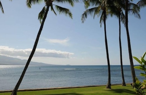 Maalaea Condo | Best Oceanfront Condo, LAULOA, Remodeled, WiFi, Curved UHD-TV