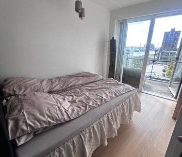 Aarhus C Apartment | Best Private Seaview Apartment - 2 Balconies, 11th Floor, Elevator, Friendly Lively Area