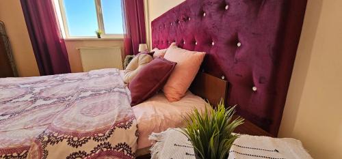Mukachevo Apartment | Best Two Room Apartment