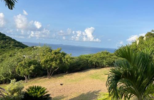 Playa Sardinas II House | Best view