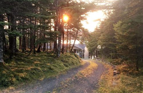 Brigus Junction House | Best View Wonderland-cozy Cabin On Pond