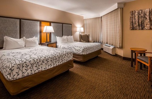 Birch Run Hotel | Best Western of Birch Run/Frankenmuth