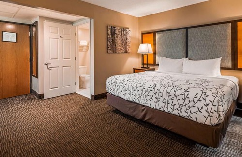 Birch Run Hotel | Best Western of Birch Run/Frankenmuth