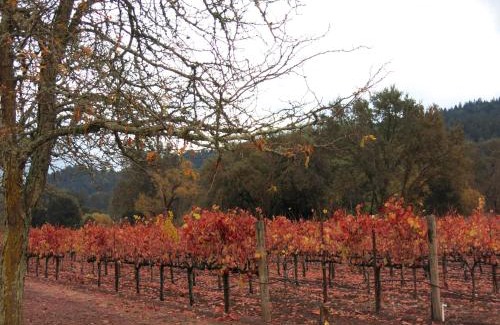Calistoga Hotel | Best Western Plus Stevenson Manor