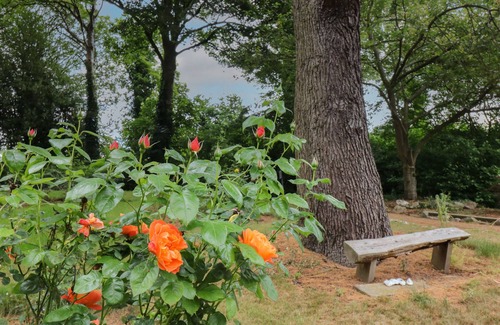 Calver Cottage | BETHANY A, with a garden in Calver