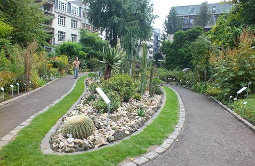 Antwerp Apartment | Better Choice for your Vacation! 2 Classy Units Close to Historical Sites!