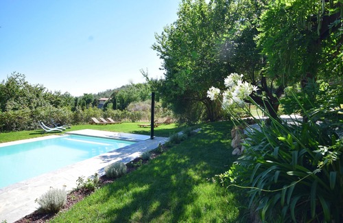 Calci Other | Between olive grove and wide lawn, 1700's farmhouse