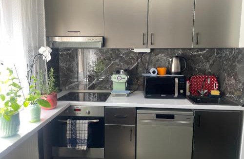 Hajduszoboszlo Apartment | Bezsó apartman