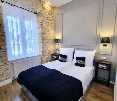 Czestochowa Apartment | Biały Kruk Apartamenty vis-a-vis Jasnej Góry 2a