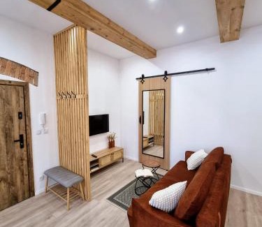 Czestochowa Apartment | Biały Kruk Apartamenty vis-a-vis Jasnej Góry 2b