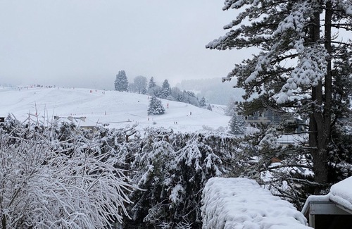 Villard-de-Lans Ski Chalet | Big appartment for rent Villard de Lans - vercors - mountain