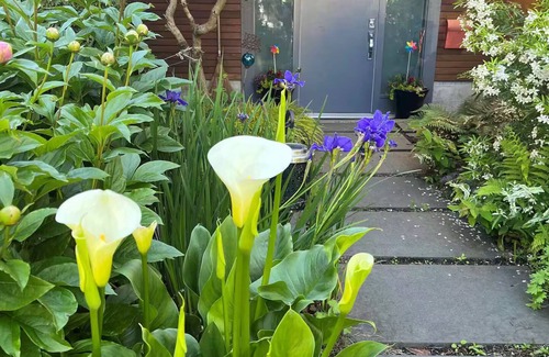 Vancouver South Apartment | BIG BRIGHT BEAUTIFUL Garden Suite off Main Street with Comfy New KING BED