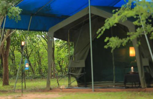 Kataragama Other | Big Game Yala - by Eco Team