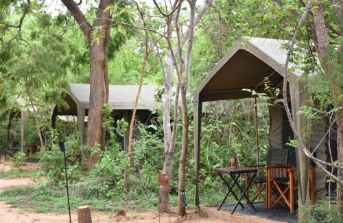 Kataragama Other | Big Game Yala - by Eco Team