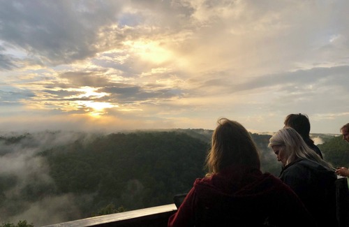 Strunk Cabin | 𝐁𝐢𝐠 𝐒𝐨𝐮𝐭𝐡 𝐅𝐨𝐫𝐤 Retreat! Excellent Location Private WIFI~ All NEW 𝐓𝐫𝐞𝐞 𝐓𝐨𝐩 𝐋𝐨𝐝𝐠𝐞!
