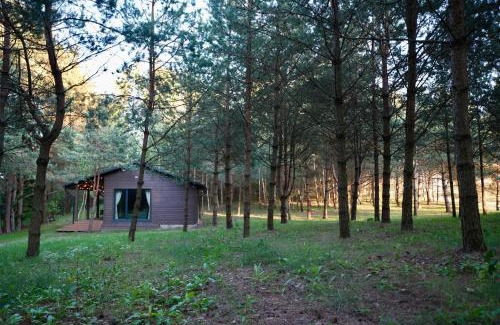 Inturkes seniunija House | Bijūnų Šilas