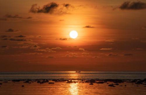 Bintan Hotel | Bintan Exotica Resort By WH - Free Shuttle BBT Resort BBT - Free Breakfast