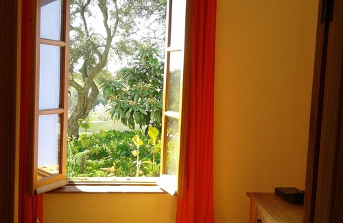 Olhao Apartment | biologically restored, idyllic rural and very close to the sea