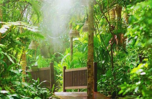 Pratumnak Hill Resort | Birds and Bees Resort