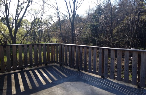 Westfield Apartment | Birds' Eye- 3/2 - Walk to dining etc., A/C, Wi-Fi, Smart TV, Patio.