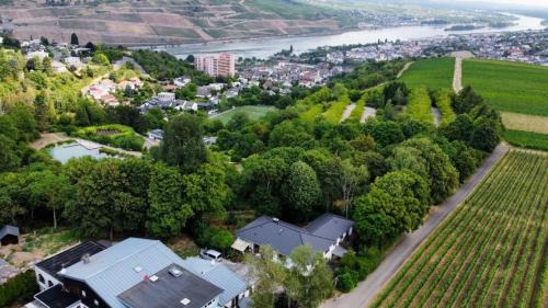 Mainz-Bingen Apartment | Birkennest