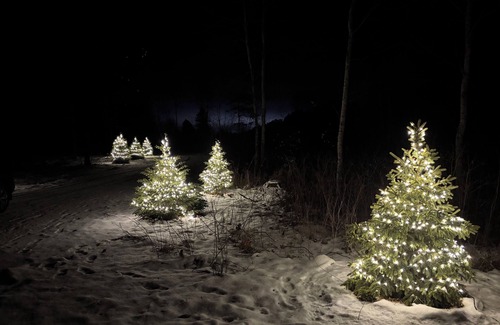 Hayward Cabin | Birkie Haven - a Northwoods cabin retreat with full amenities!