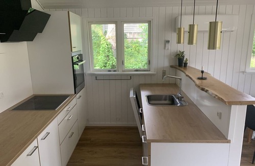 Skive Municipality House | "Bjerne" - 250m to the inlet by Interhome