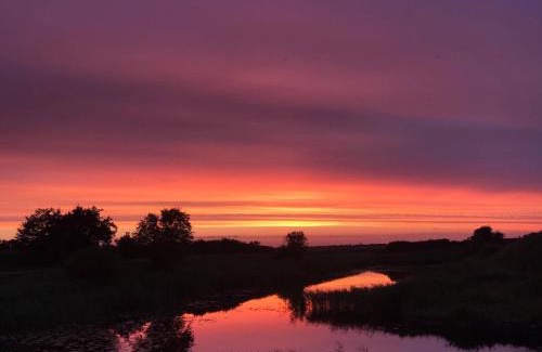 Ribe Bed & Breakfast | Bjerrumgaard bed and breakfast