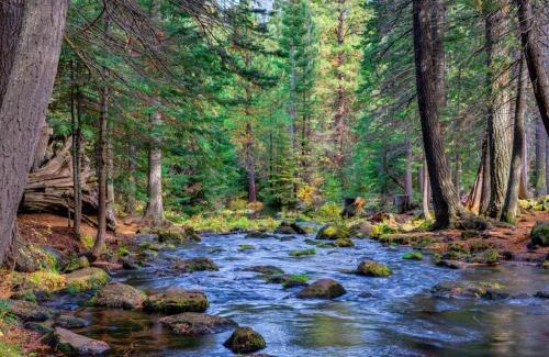 Black Butte Ranch House | Black Butte Ranch: Hawks Beard Home