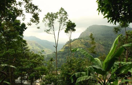 Ella Bed & Breakfast | Bliss In Viya