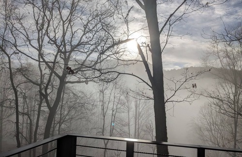 Cullowhee Cabin | Blue Ghost HostnSummer finale Autumn