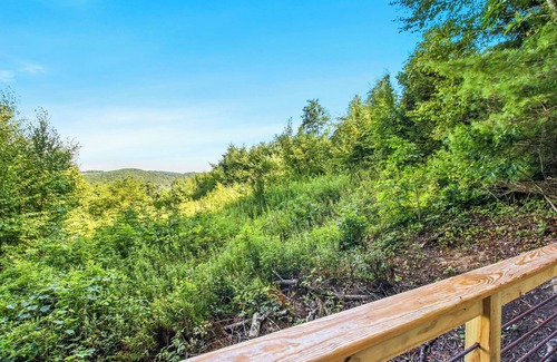 Laurel Springs Cabin | Blue Ridge Parkway/Off-Grid Cabin/Glamping/Hummingbird Hideaway
