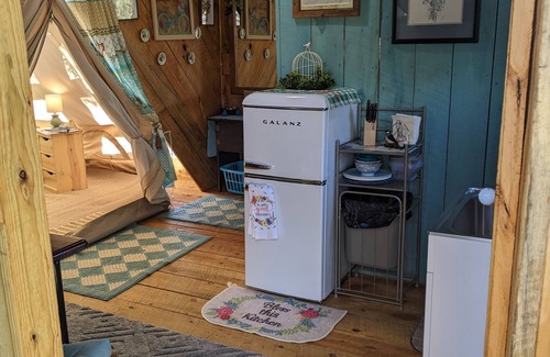 Hot Springs House | BlueBird Nest 2.0, hot tub! Sibley double bell on huge deck!covered kitchen/bath