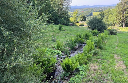 Rickenbach Apartment | Bodea Alpenblick