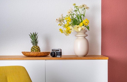 Fischbach Apartment | BodenseeApartment Nest