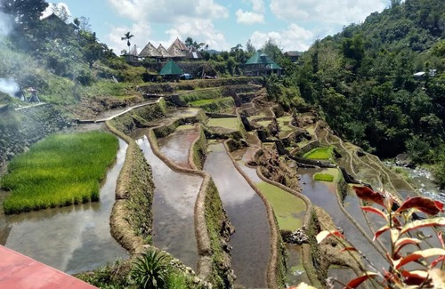 Banaue House | Bogah Lodge