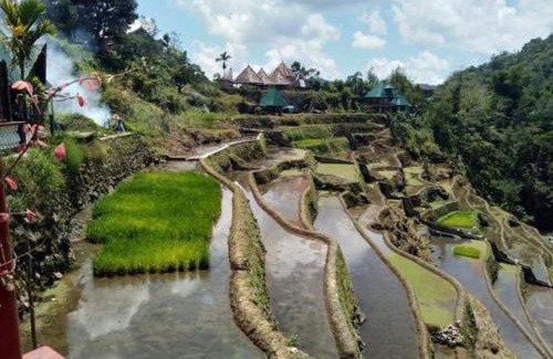 Banaue House | Bogah Lodge