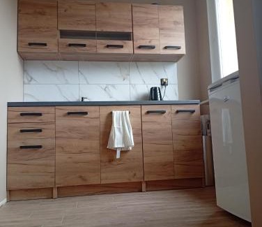 Boguszow-Gorce Apartment | Boguszów