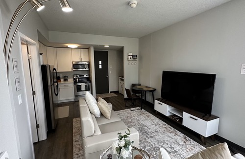 Downtown Des Moines Apartment | Boho Box- DT DSM Skyline view