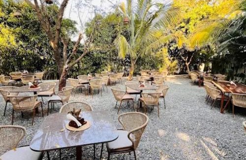Indore Hotel | Boho Farms & Retreat