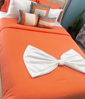 Balata Apartment | Bon Vivant Chateau Smart Apartment