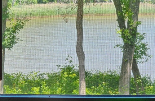 North East House | Bonfire by the Creek!