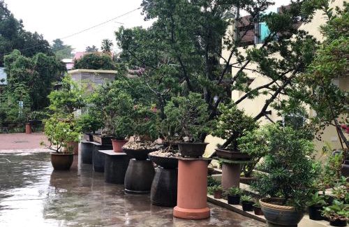 Kluang House | Bonsai Homestay Kluang - B17