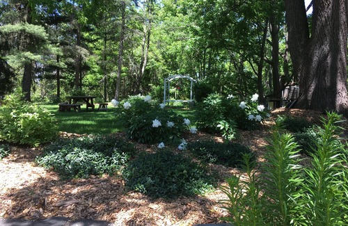 Etna House | Book for 3 nights and save $200! 4 1/2 miles from Cornell !