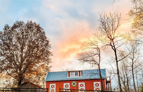 Travelers Rest Apartment | Book Now-Gvl-20 Min -TR-8 Min -Mtn Vws-19 Ac.-Farm