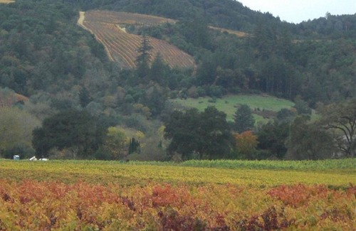 Boonville Cottage | Boonvilla Cottage, cosy wine country cottage (Sleeps 2 persons minimum/maximum)