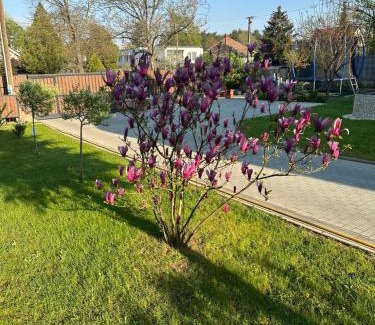 Sostogyogyfurdo Apartment | Bor, Villa, Sóstó